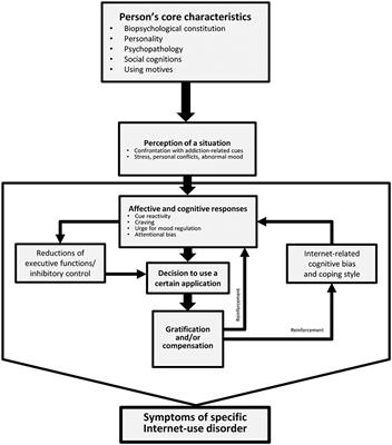 Merging Theoretical Models and Therapy Approaches in the Context of Internet Gaming Disorder: A Personal Perspective